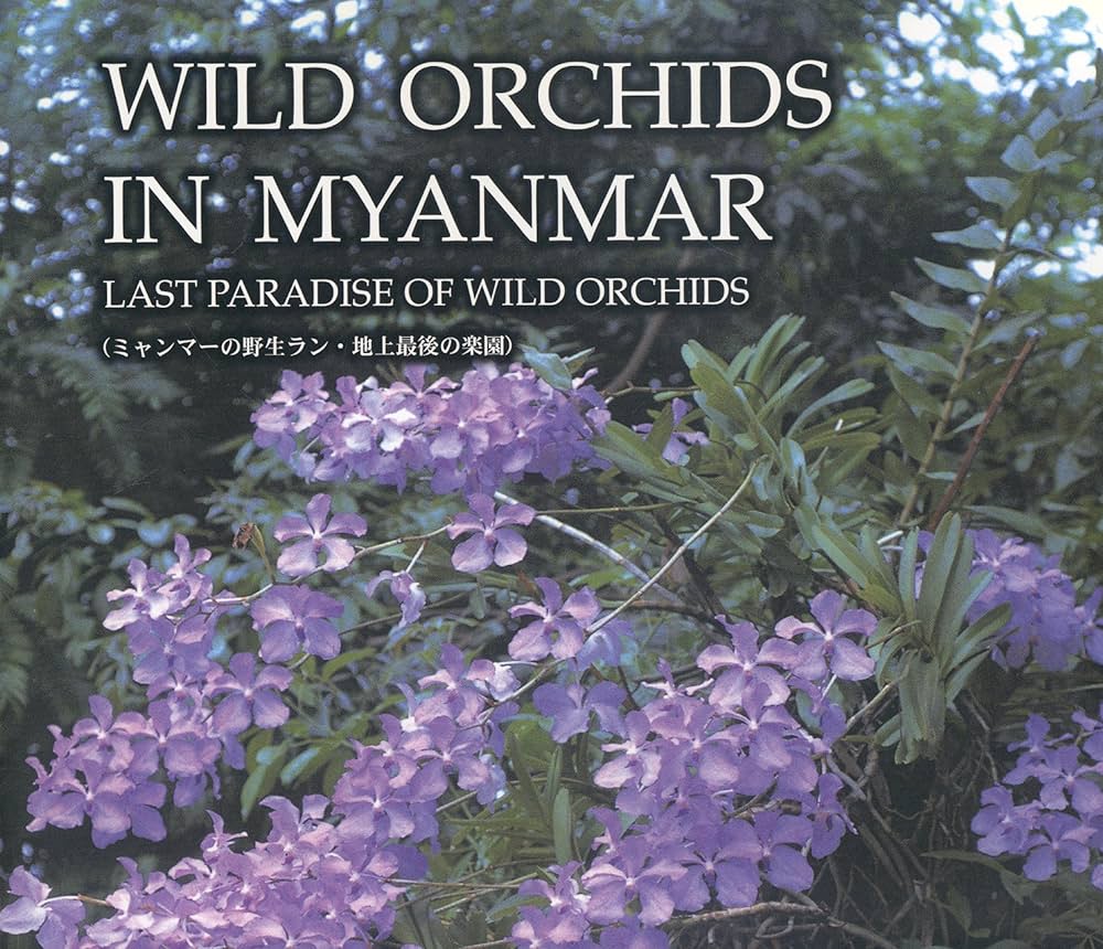 Amazon | Wild Orchids in Myanmar: Last Paradise of Wild Orchids