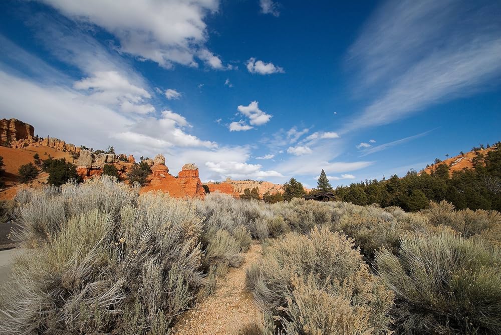 Amazon.co.jp: TAMRON 超広角ズームレンズ SP AF10-24mm F3.5-4.5 DiII