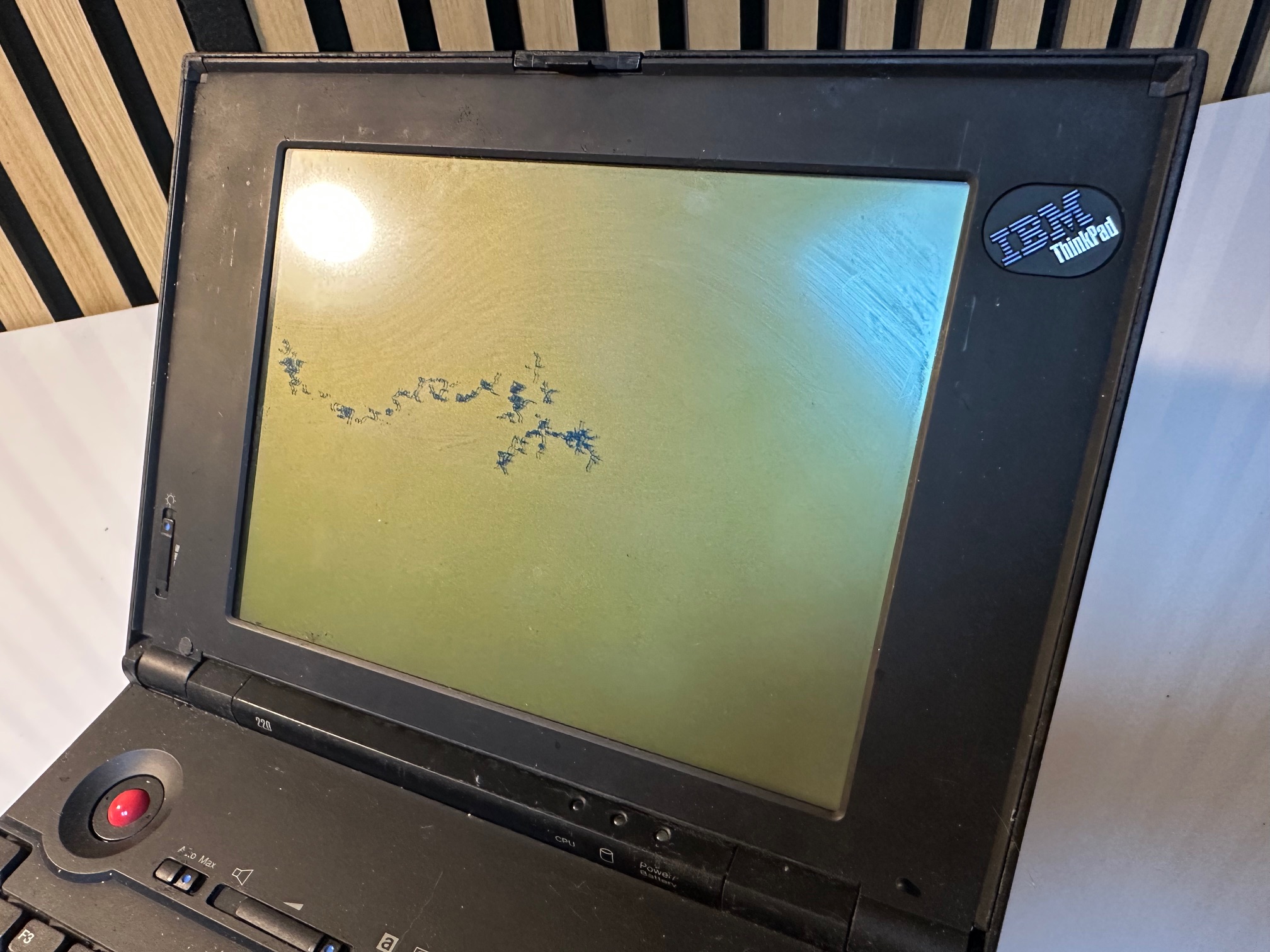 IBM ThinkPad 220 - MacDat