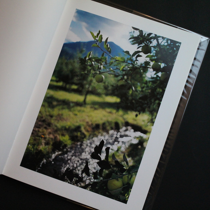 Lana - Terri Weifenbach