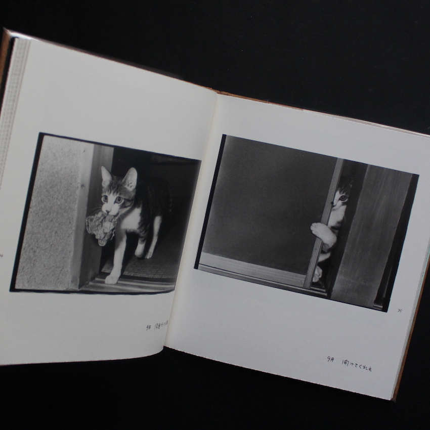 Afterword（Second Edition） - 深瀬 昌久 / Masahisa Fukase
