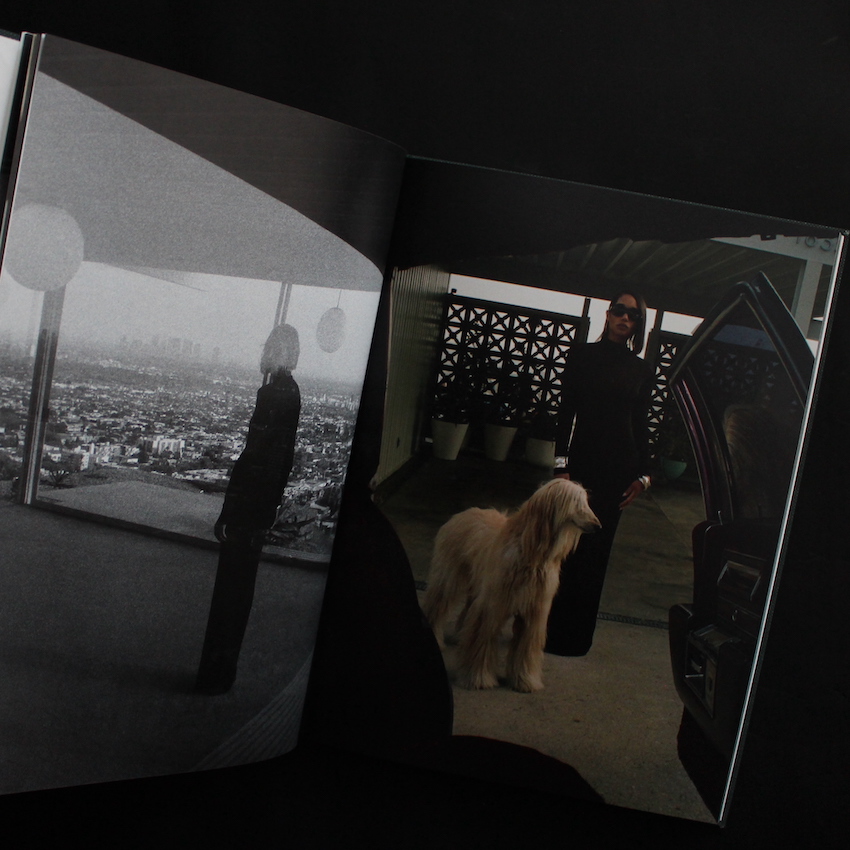 Purienne - Saint Laurent Edition - Henrik Purienne