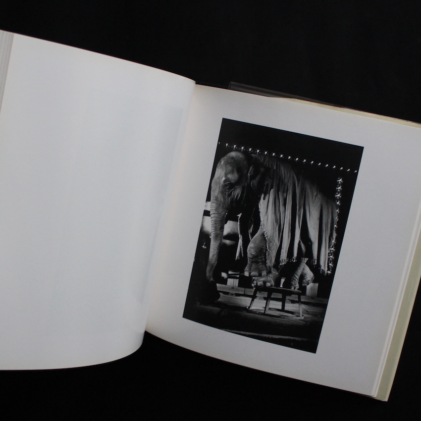 Visions of Japan - 猪瀬 光 / Kou Inose