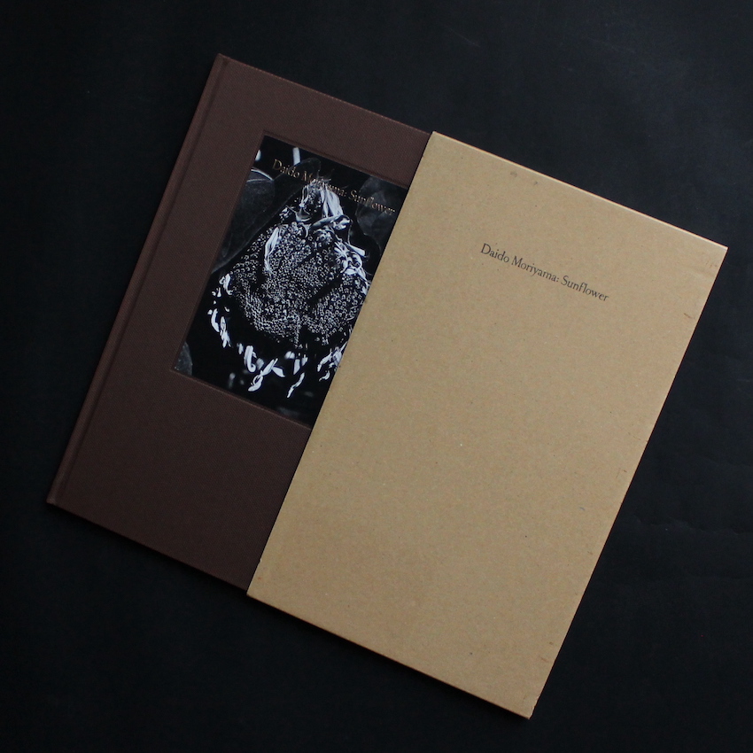 Sunflower（Signed） - 森山 大道 / Daido Moriyama