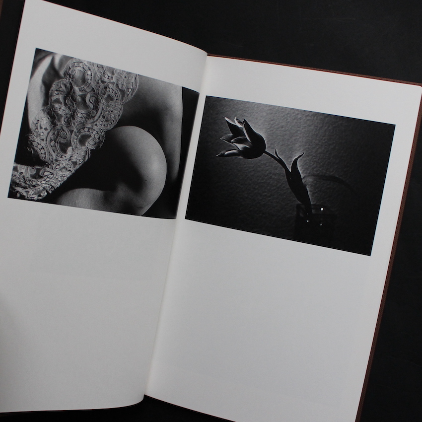 Sunflower（Signed） - 森山 大道 / Daido Moriyama