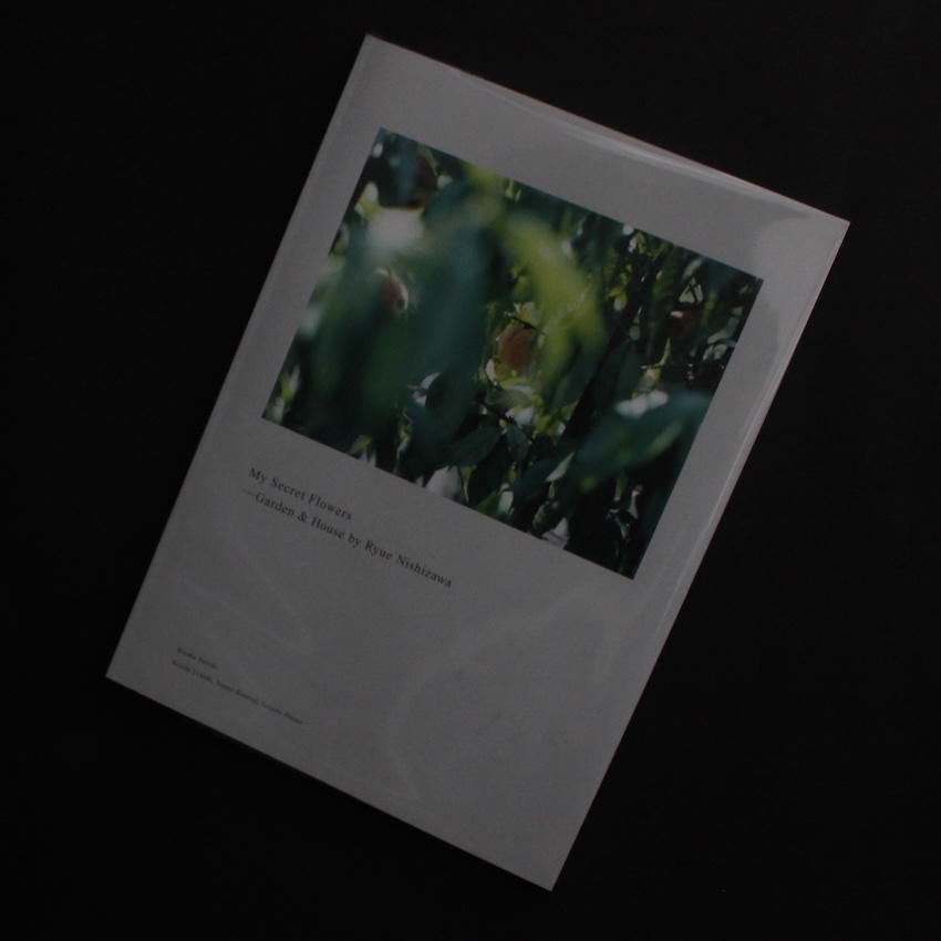 Halo（English Edition） - 川内 倫子 / Rinko Kawauchi