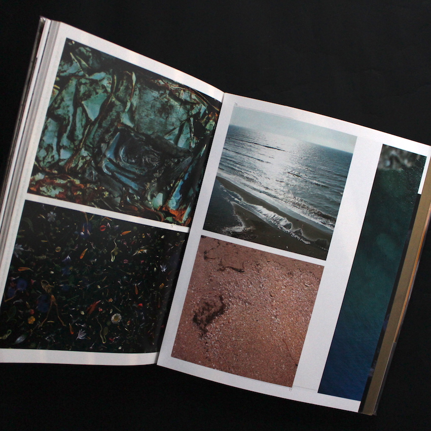 廃園 / Ruinous Gardens - 東松 照明 / Shomei Tomatsu