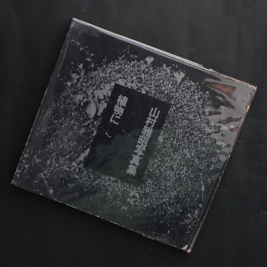 植物に（Singed） - 山村 雅昭 / Gasho Yamamura