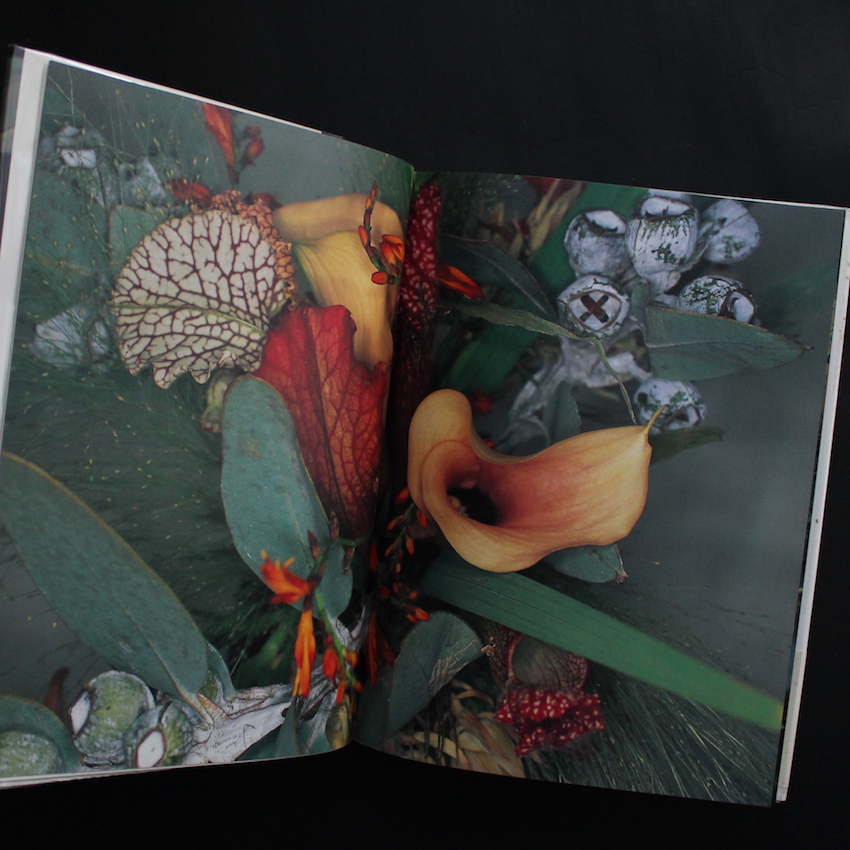 花曲 / Kakyoku - 荒木 経惟 / Nobuyoshi Araki