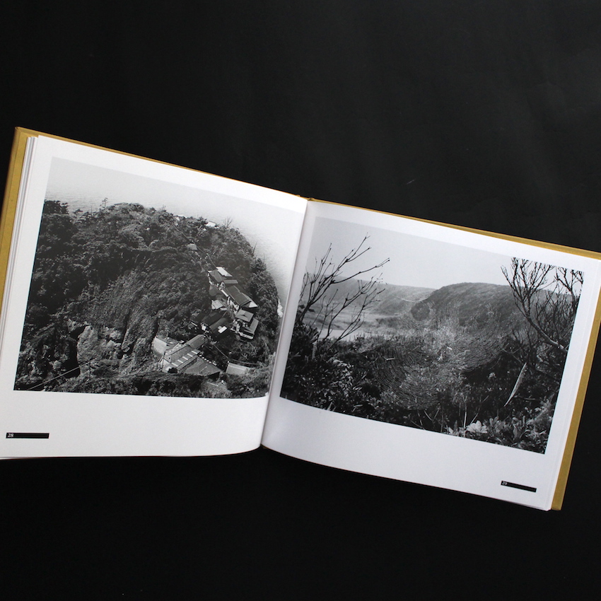 背高あわだち草 / Seitaka-awadachiso（First Edition） - 尾仲 浩二