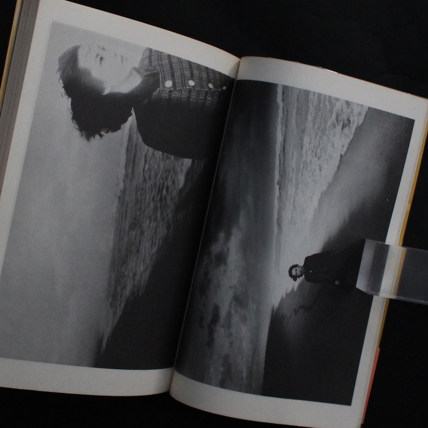 愛の嵐（With OBI） - 荒木 経惟 / Nobuyoshi Araki