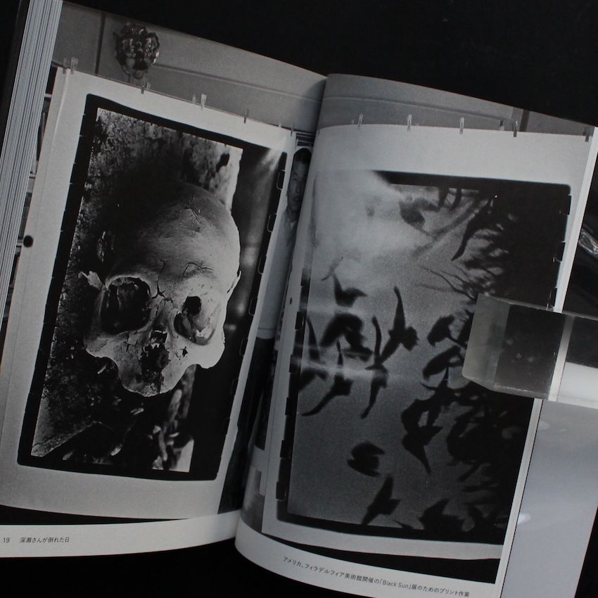 深瀬昌久伝 - 瀬戸 正人 / Masato Seto