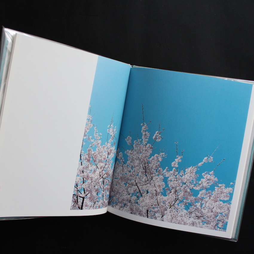 hysteric Eight - 鈴木 理策 / Risaku Suzuki