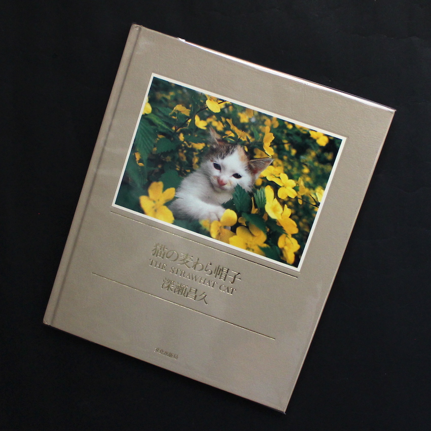 猫の麦わら帽子 / The Strawhat Cat - 深瀬 昌久 / Masahisa Fukase