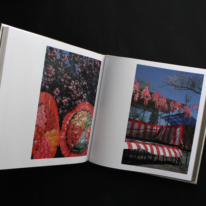 さくら 桜 サクラ 120 - 東松 照明 / Shomei Tomatsu