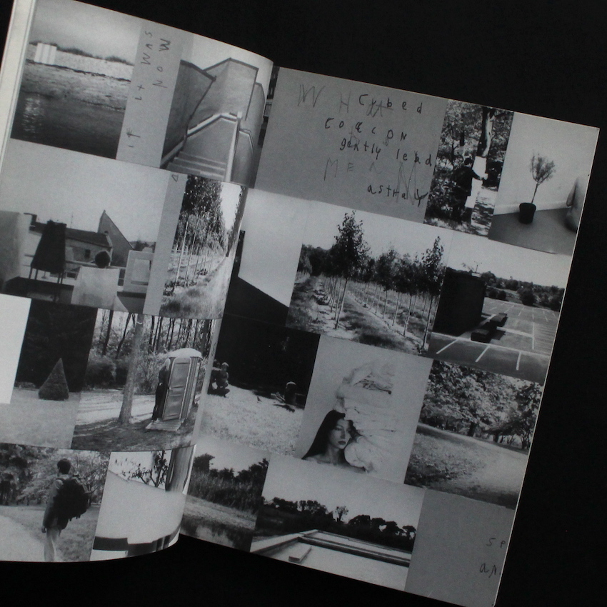 Are Plants People？ - Mark Borthwick