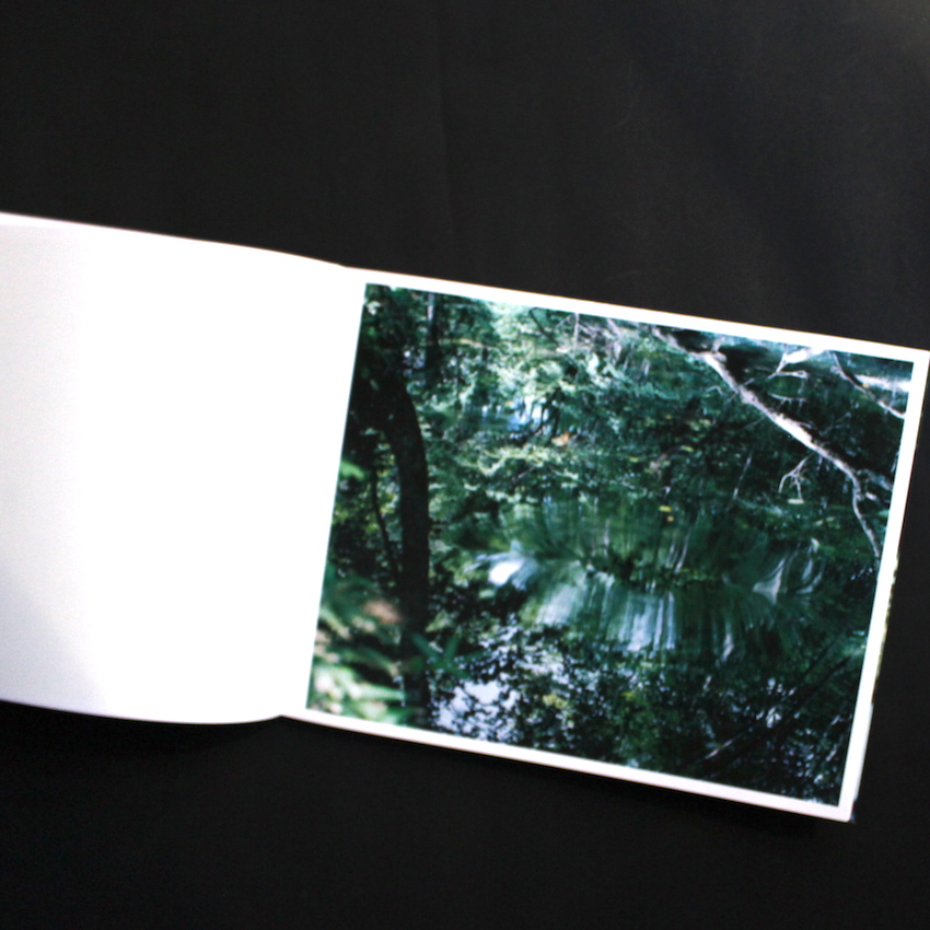 Water Mirror - 鈴木 理策 / Risaku Suzuki