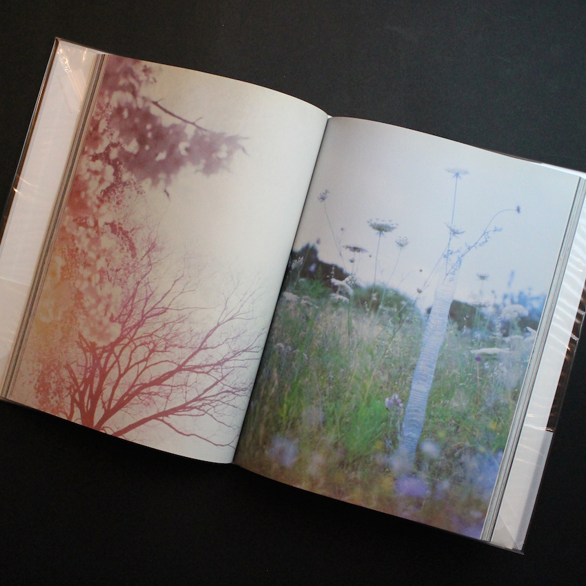 The Heart Land（With OBI） - Mark Borthwick