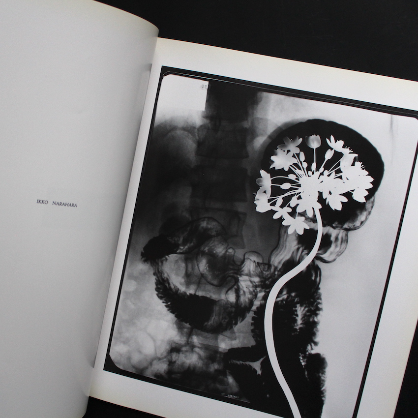 Hysteric No.2 Self - Portrait 1991