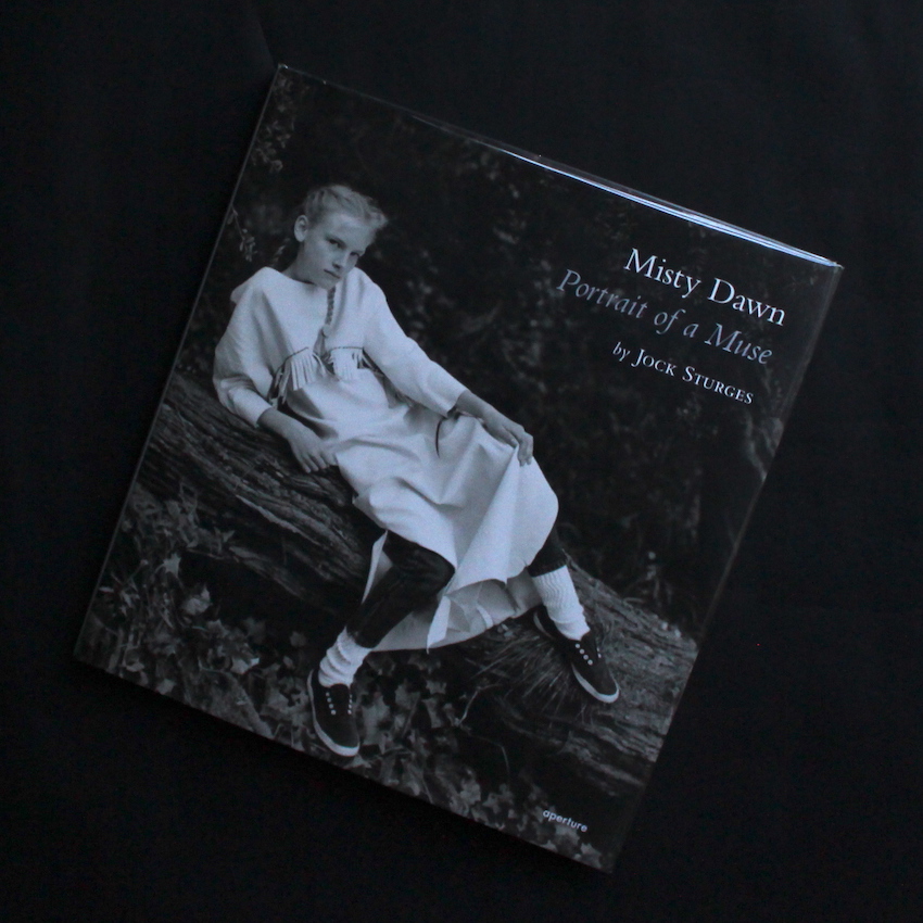 アート・デザイン・音楽 Misty Dawn : Portrait of a Muse アート