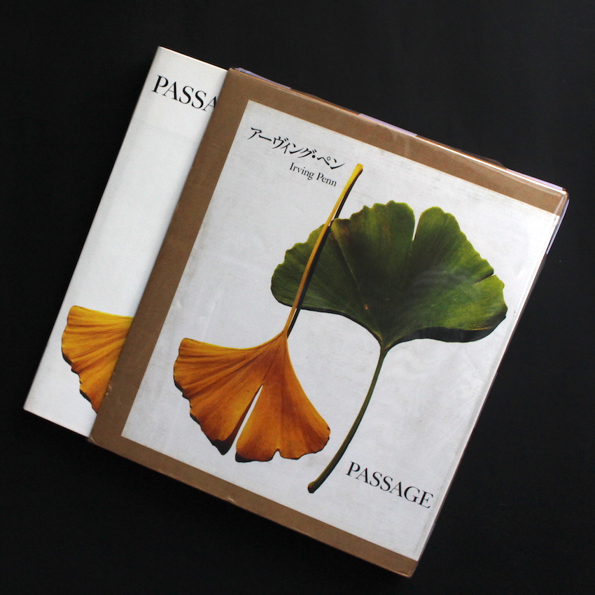 Passage（Japanese Edition） - Irving Penn