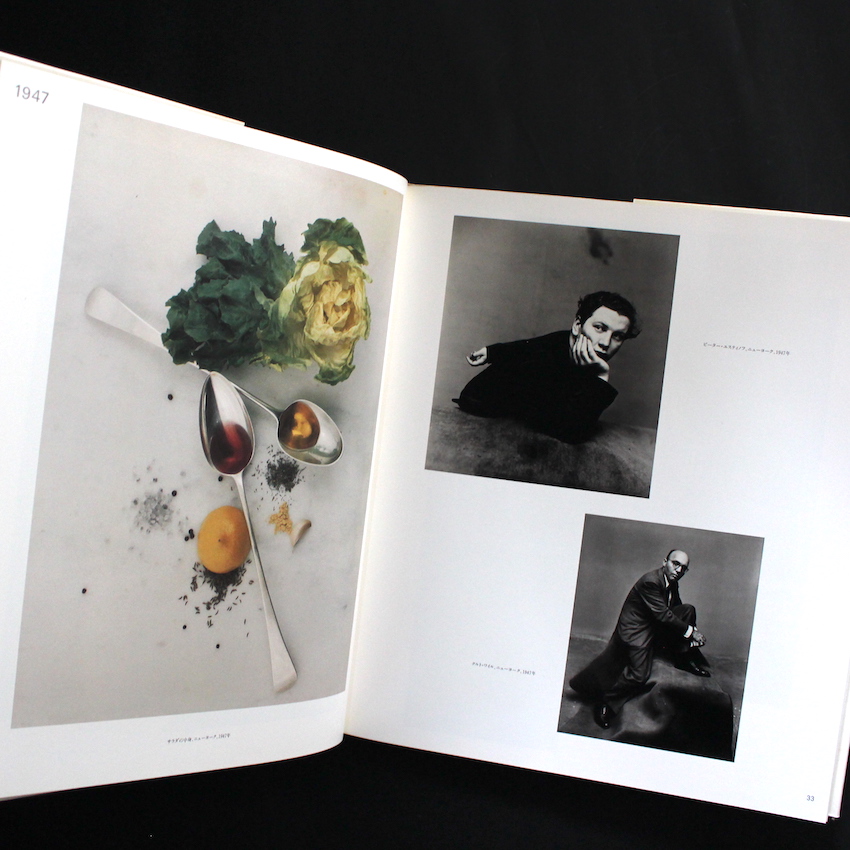 Passage（Japanese Edition） - Irving Penn