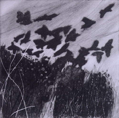 Exhibition: Outline South West / Anita Reynolds | mags phelan