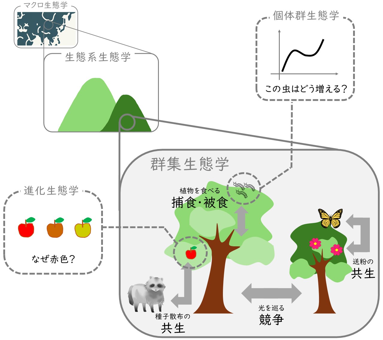 生物多様性保全のカギ① 生態学 | なぜ人は自然を守りたいのか