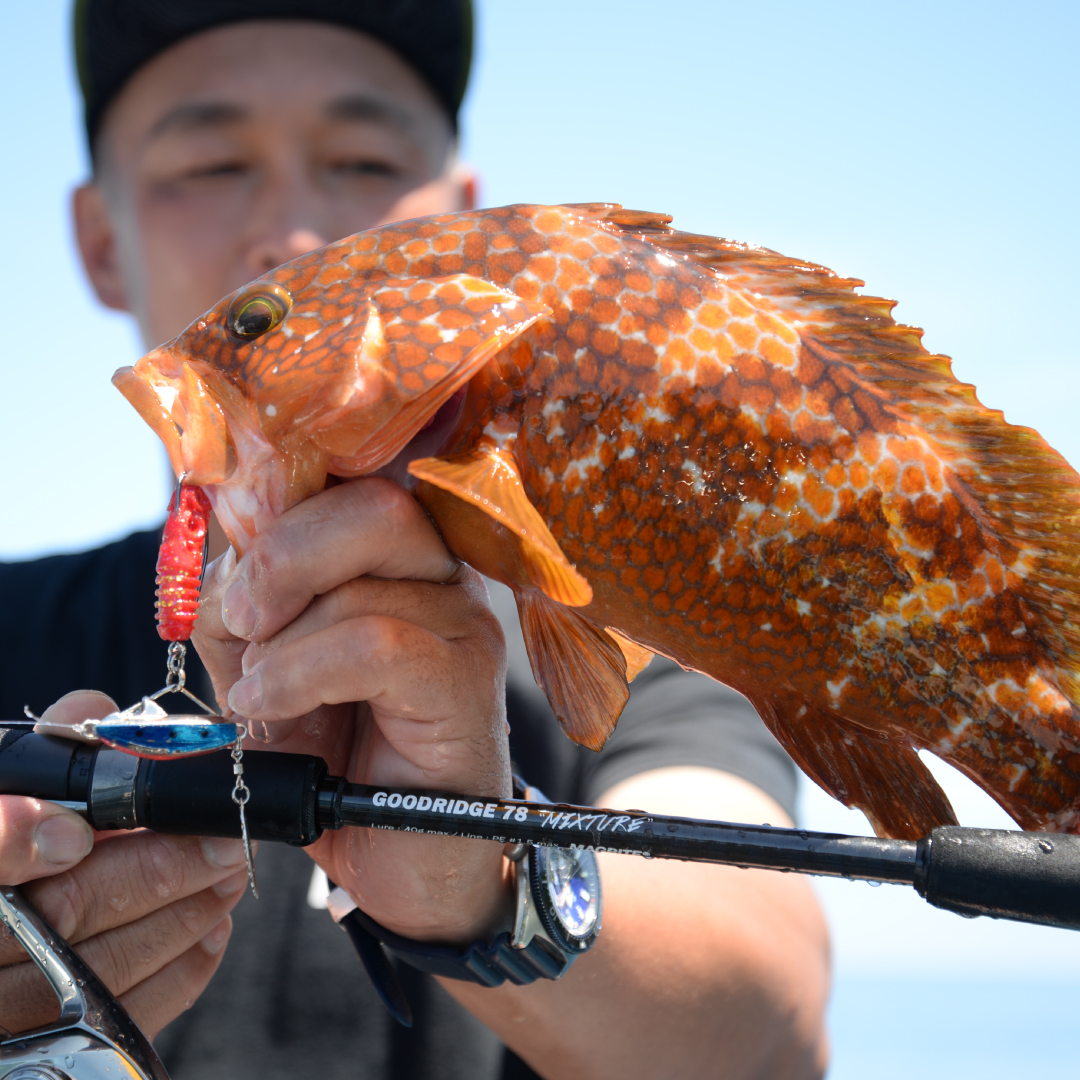 グッドリッジ | ソルトルアーブランド【MAGBITE】