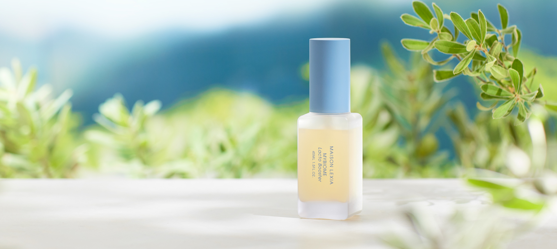 COSMETICS - MAISON LEXIA メゾンレクシア コスメティック / フレグランス