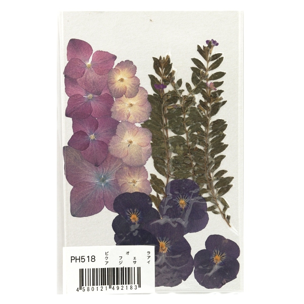 押し花キット 『つみたて花パック ビオラ・クフェア・アジサイ PH518