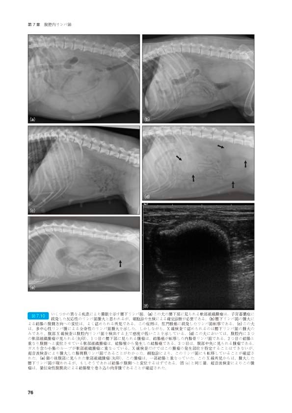 BSAVA 犬と猫の腹部画像診断マニュアル | BSAVAマニュアルシリーズ