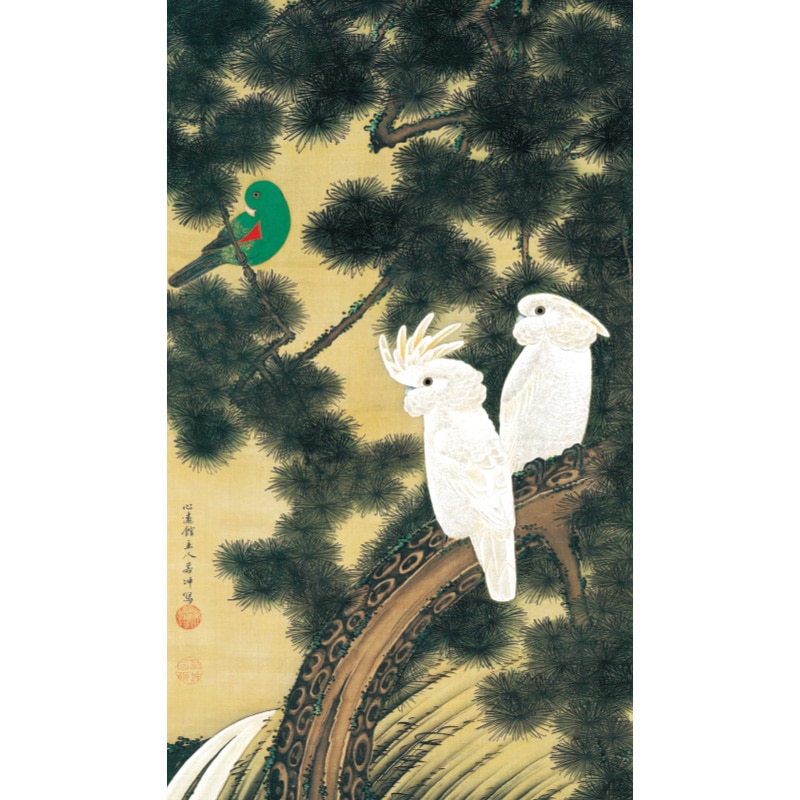 伊藤若冲 動植綵絵 老松鸚鵡図 高級仕様 額 美術品 インテリア 作品