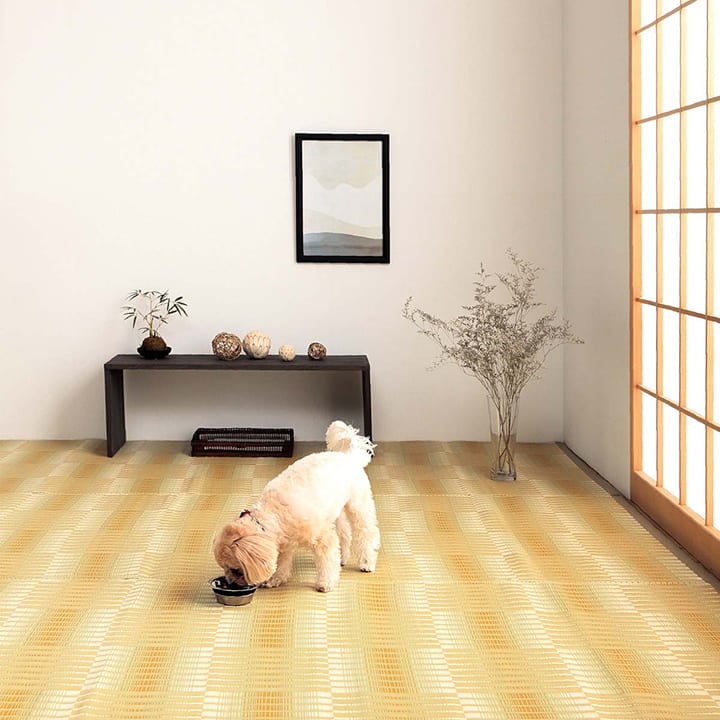 畳の上に敷く カーペット 日和 PP 洗える 水洗い｜イケヒコ公式通販