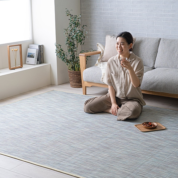 竹ラグ DXフォース 夏ラグ 無地カラー ひんやり クッション性 抗菌防臭