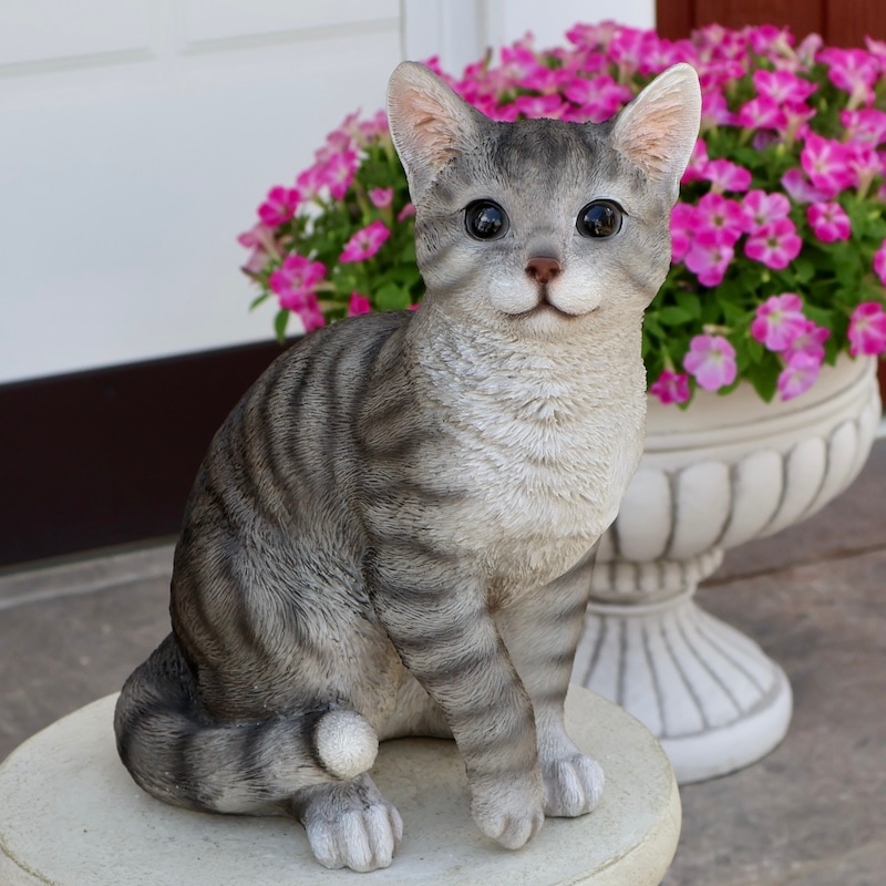 本物に見える!!大きさもリアルなトラネコ「サバトラちゃん」