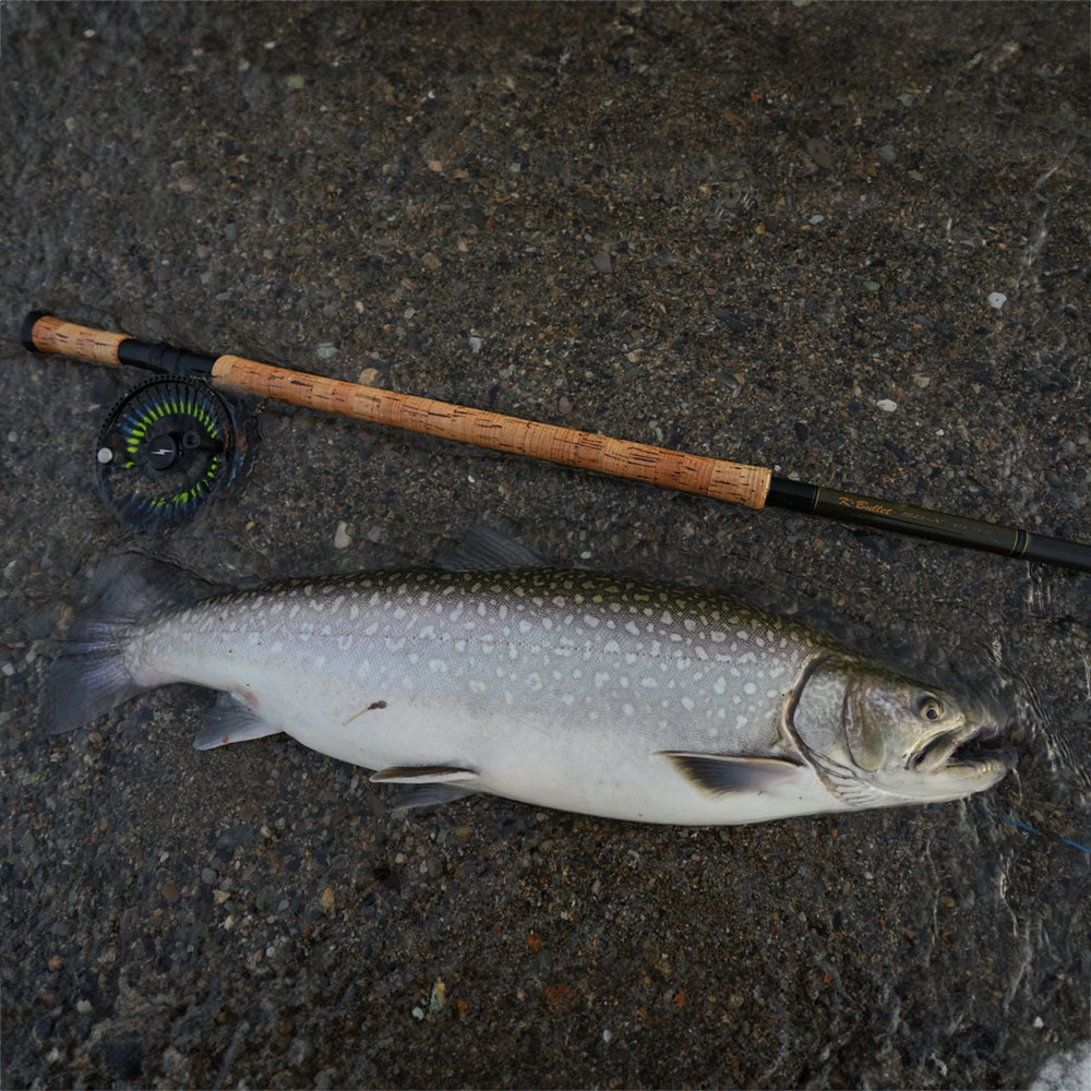 SD-X #13 (17ft) [A0002 010]