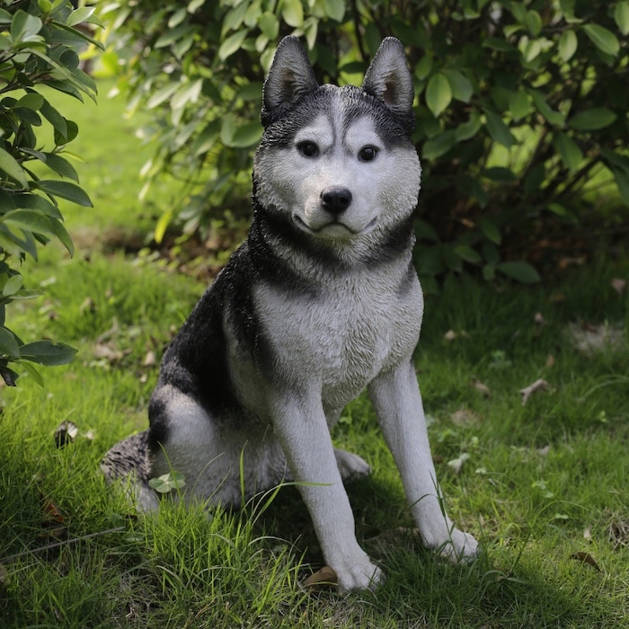 かわいい 犬 置物 お座り シベリアンハスキー 高さ50cm woobia