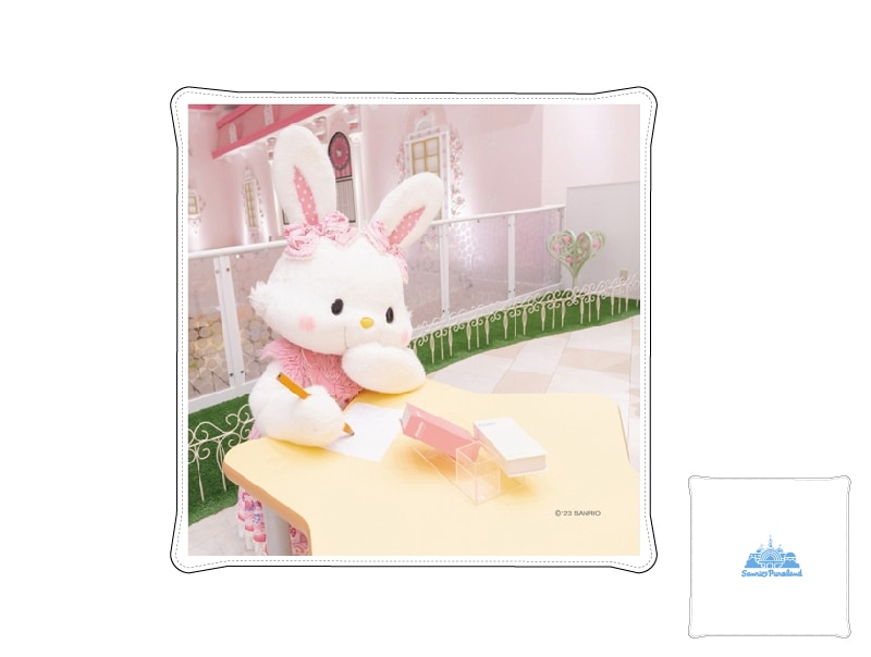 2_000000000302.jpg?1728266148