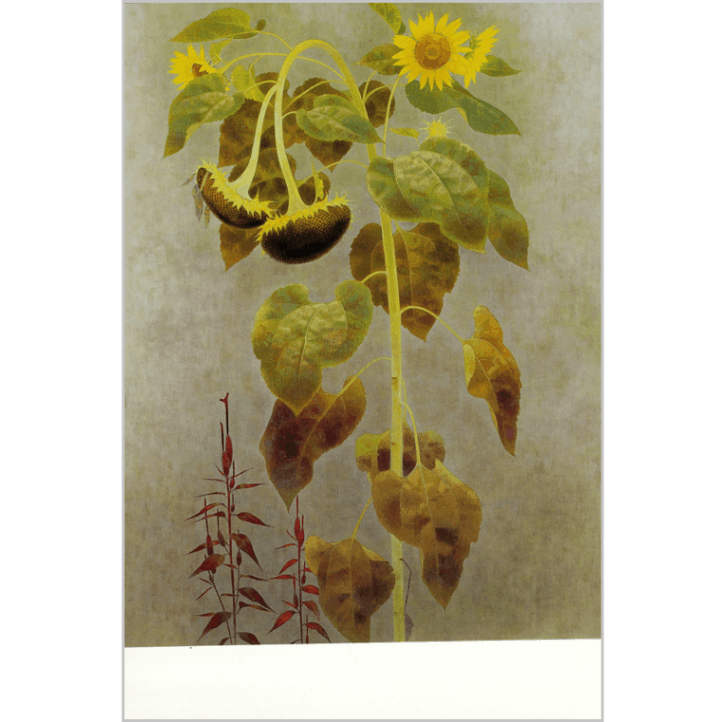 絵はがき〈白露〉山口華楊 日-6京都便利堂オンラインショップ