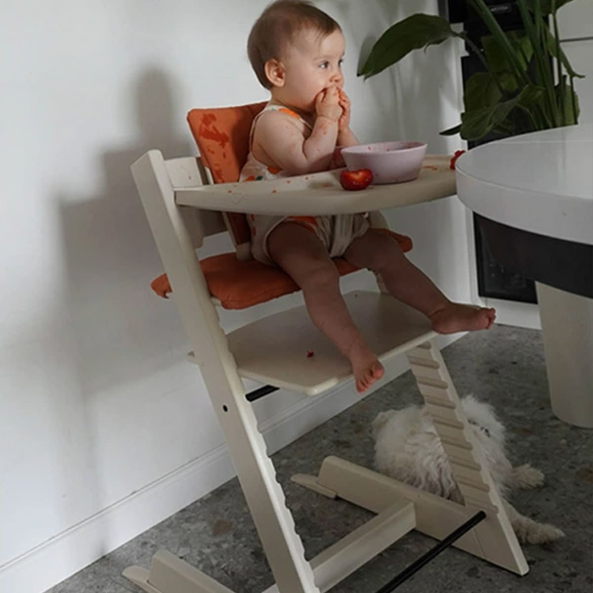 STOKKE ストッケ トリップトラップ / バニラホワイト｜ブリベビ