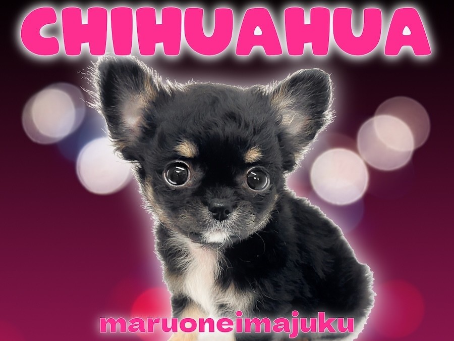 830c0e1de398fb70c424e8c115456e