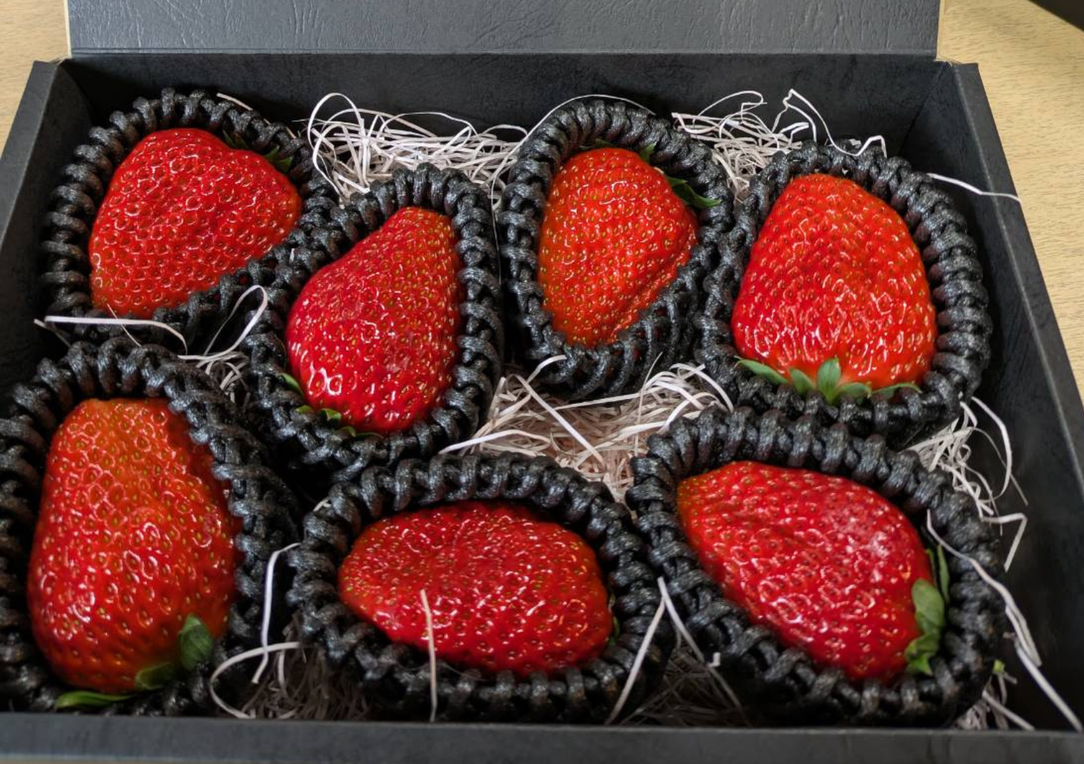 商品詳細 | Club TOHOGAS