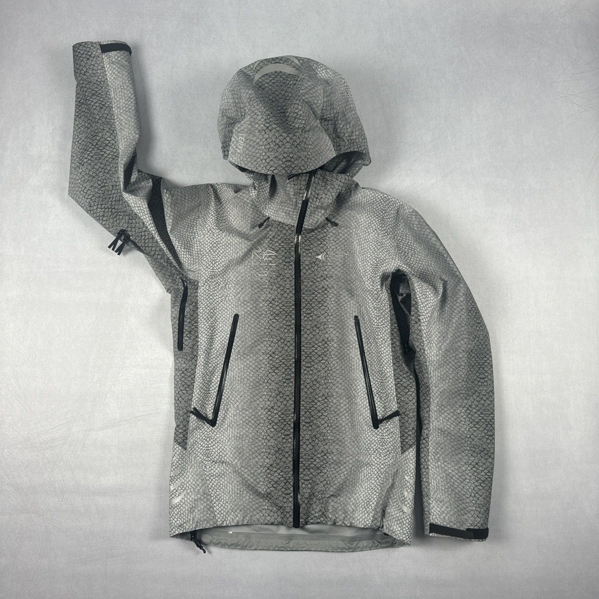 Arc'teryx Walk Gently Gore-Tex Beta SL Jacket | Grailed