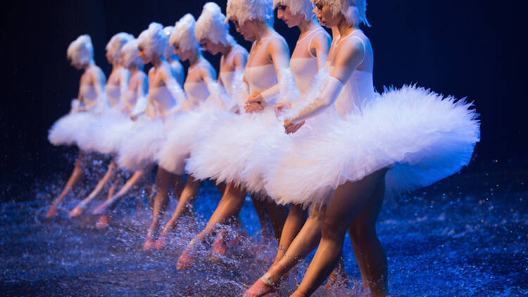 SWAN LAKE ON WATER 〜ついに、ほんとうの水を得た「白鳥の湖」