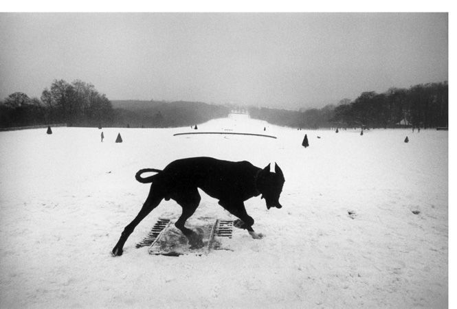 アジア初！ 市井の人々のささやかな人生の陰影をとらえる写真家