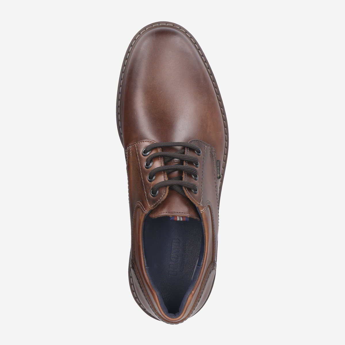 Lloyd 23-539-13 VANJA ABRAM Lace-up shoes in brown buy online