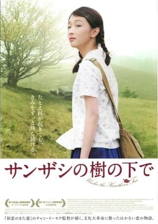 サンザシの樹の下で : 作品情報・キャスト・あらすじ・動画 - 映画.com