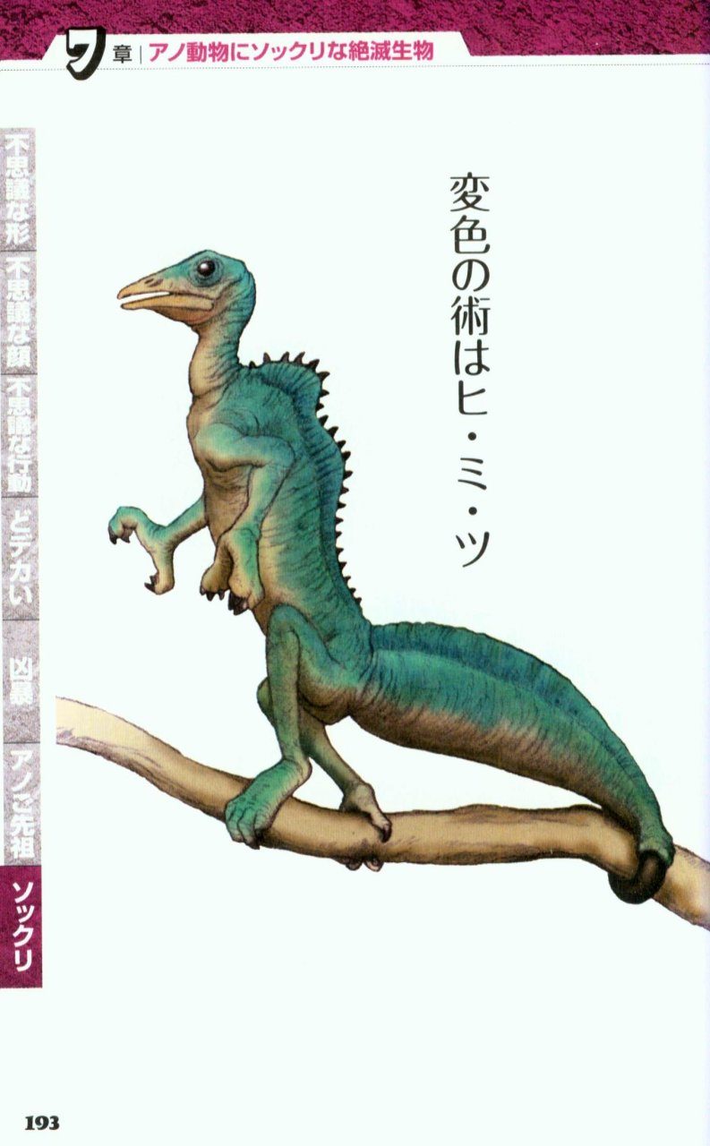 SALVEO サルビオ ビジュアル栄養科学辞典 全5巻 （株）ダイレック