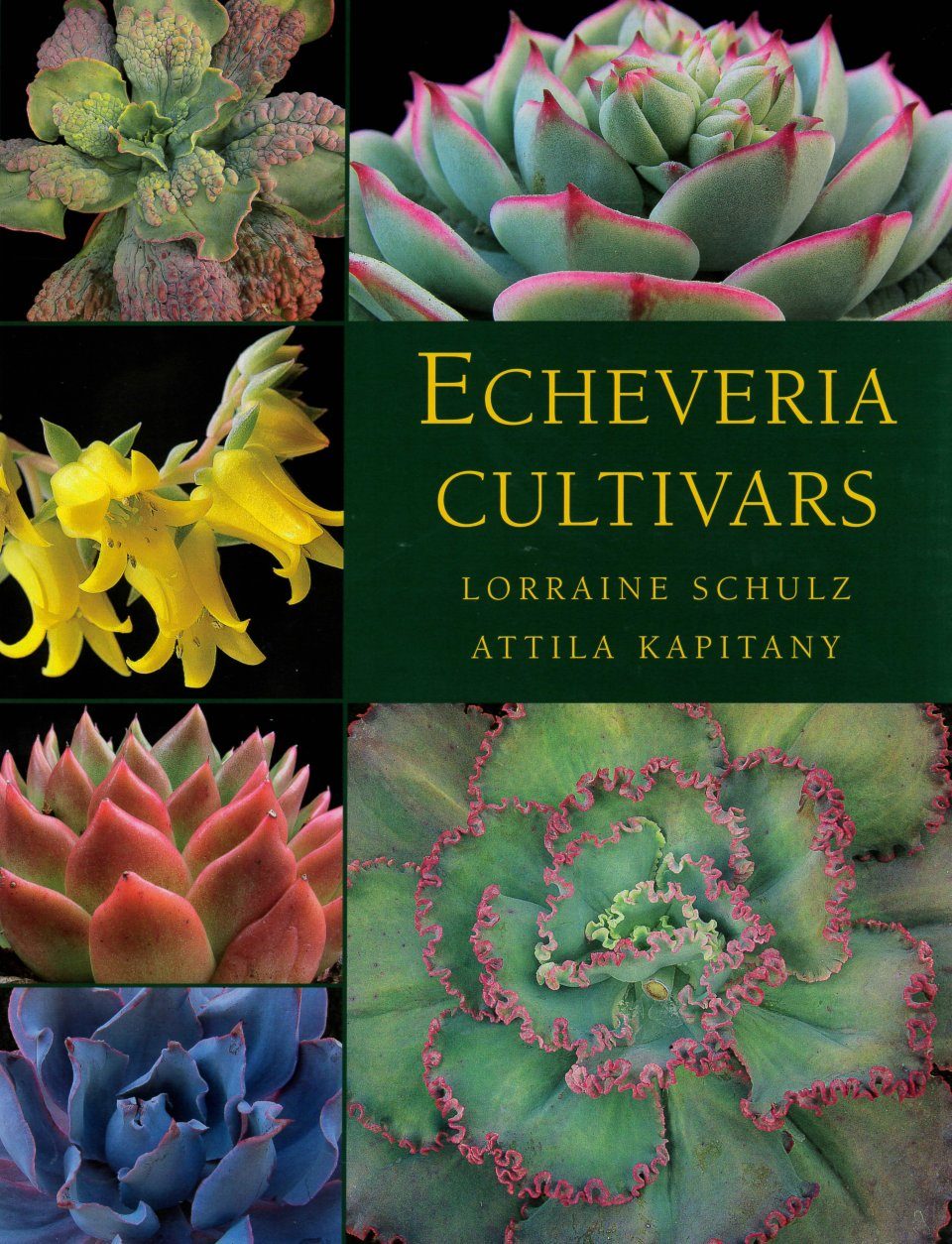 Echeveria Cultivars | NHBS Academic & Professional Books